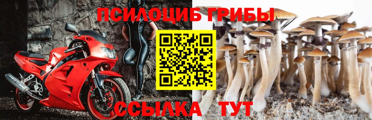 Галлюциногенные грибы GOLDEN TEACHER Гурьевск